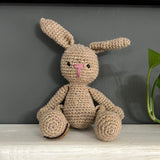 Mini Bunny