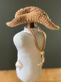 Dino Cowboy Hat Pattern
