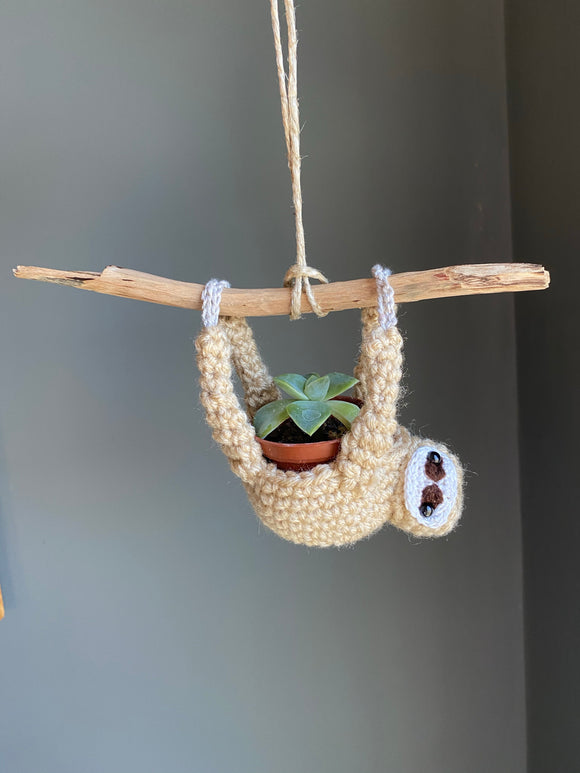 Seth the sloth succulent holder