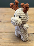 Baby Moose